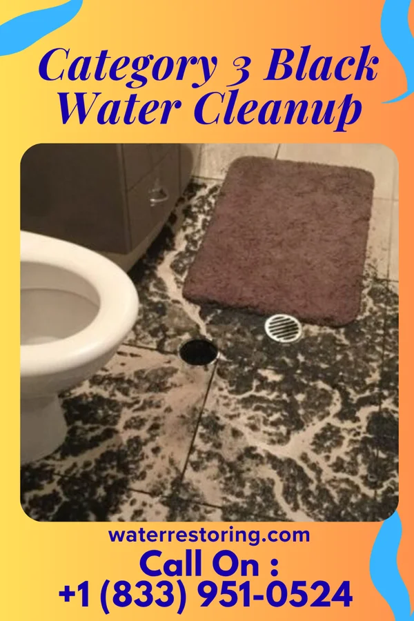 Category 3 Black Water Cleanup in Okoboji, IA