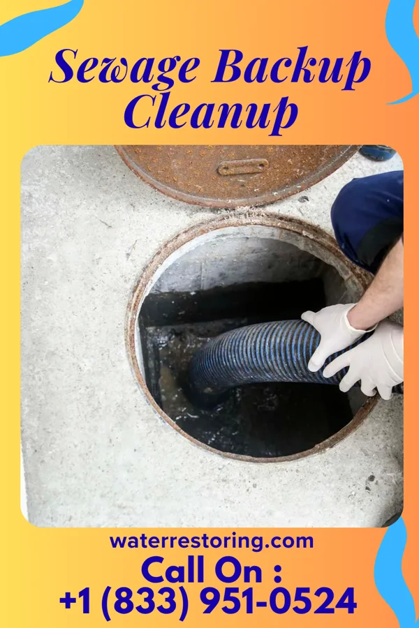 Sewage Backup Cleanup in Okoboji, IA